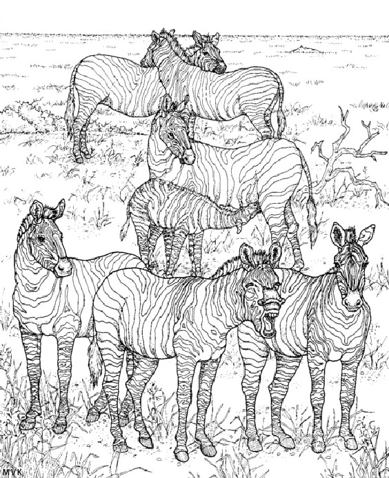 nature in africa015